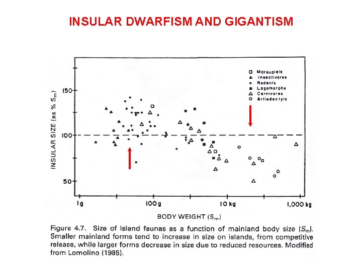 INSULAR DWARFISM AND GIGANTISM 