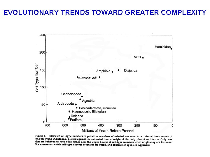 EVOLUTIONARY TRENDS TOWARD GREATER COMPLEXITY 