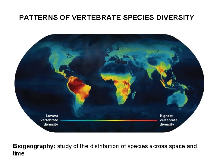 PATTERNS OF VERTEBRATE SPECIES DIVERSITY Biogeography: study of the distribution of species across space