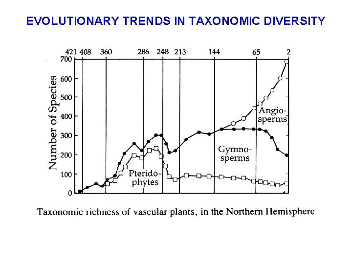 EVOLUTIONARY TRENDS IN TAXONOMIC DIVERSITY 