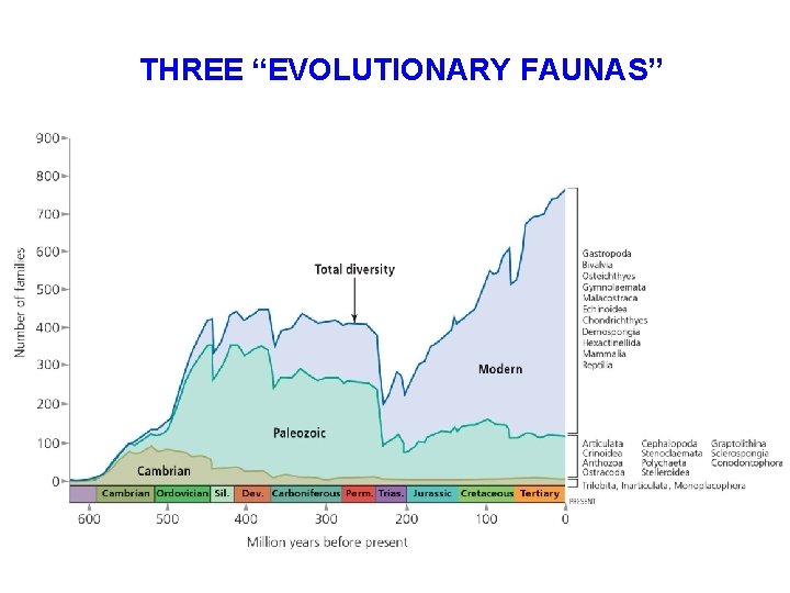 THREE “EVOLUTIONARY FAUNAS” 