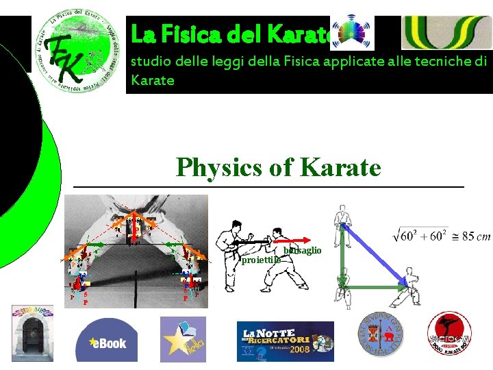 La Fisica del Karate studio delle leggi della