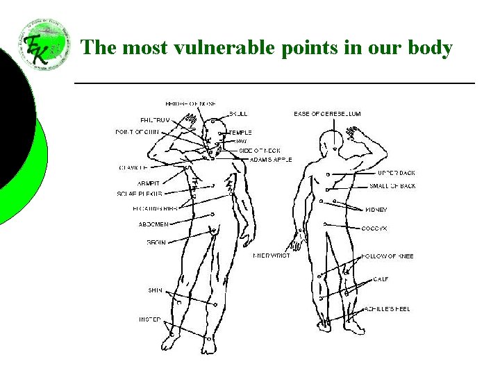 The most vulnerable points in our body 