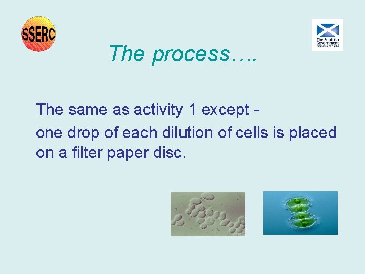 The process…. The same as activity 1 except one drop of each dilution of The process…. The same as activity 1 except one drop of each dilution of