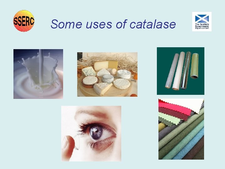 Some uses of catalase Some uses of catalase