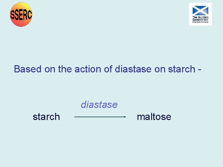 Based on the action of diastase on starch diastase starch maltose Based on the action of diastase on starch diastase starch maltose