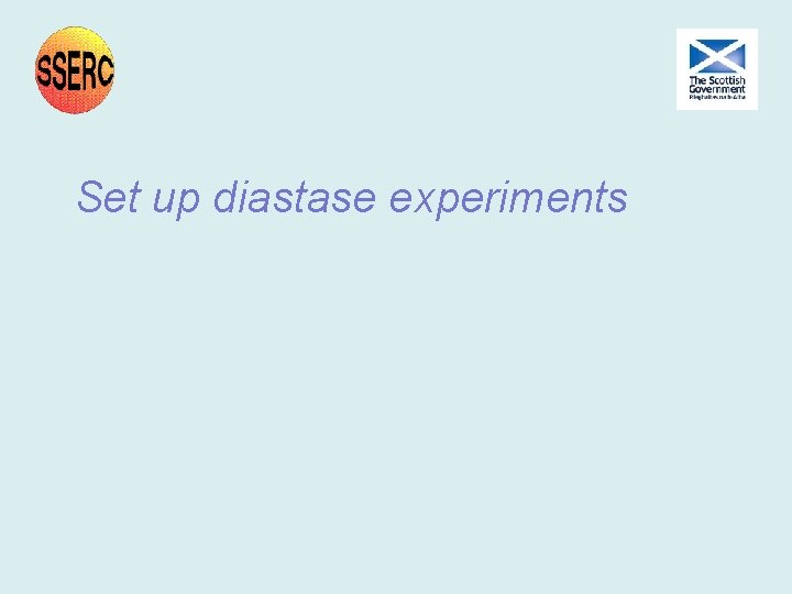 Set up diastase experiments Set up diastase experiments