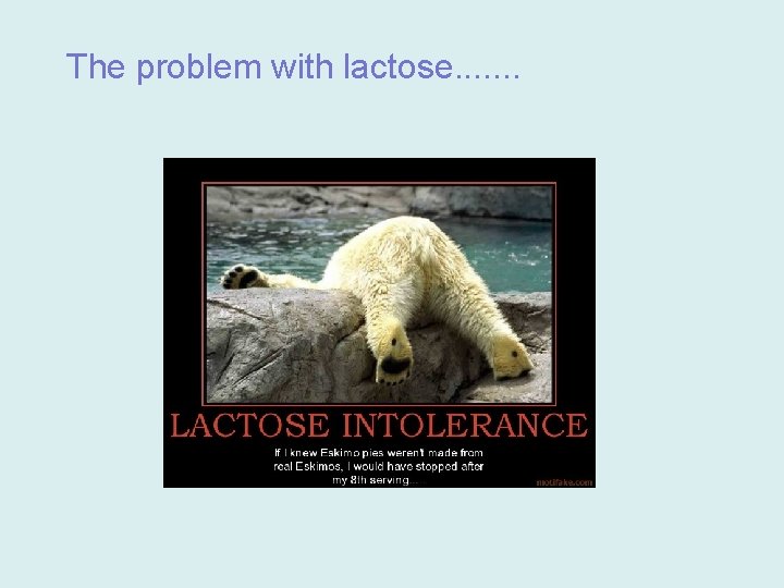 The problem with lactose. . . . The problem with lactose. . . .