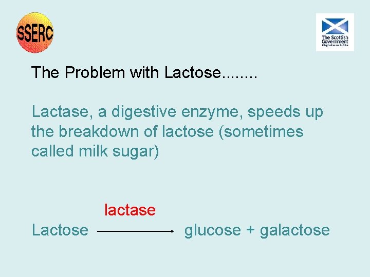 The Problem with Lactose. . . . Lactase, a digestive enzyme, speeds up the The Problem with Lactose. . . . Lactase, a digestive enzyme, speeds up the
