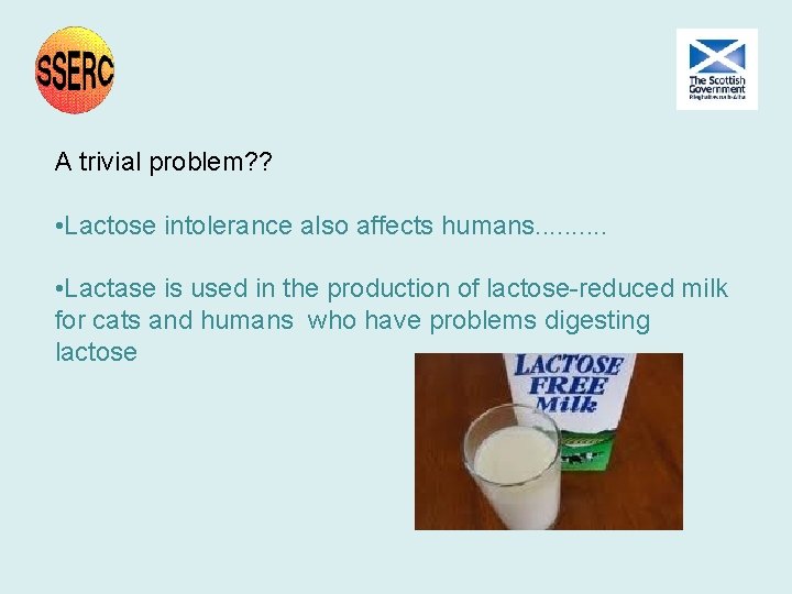 A trivial problem? ? • Lactose intolerance also affects humans. . • Lactase is A trivial problem? ? • Lactose intolerance also affects humans. . • Lactase is