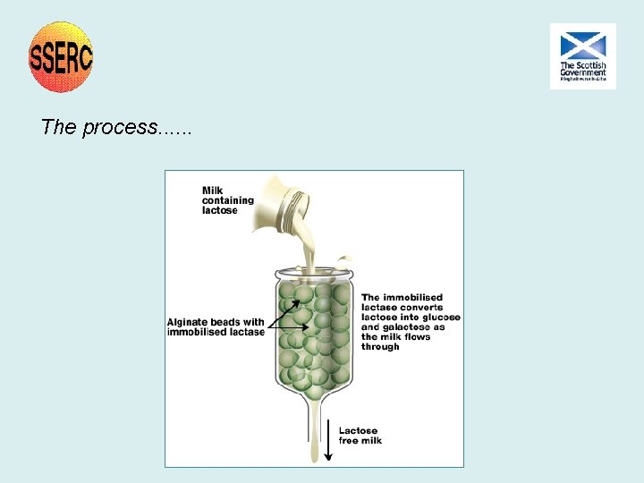The process. . . The process. . .