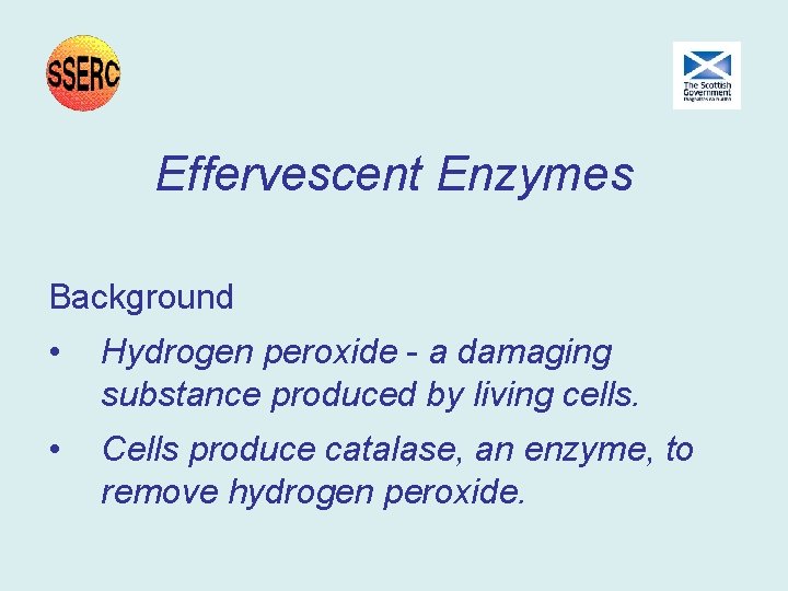 Effervescent Enzymes Background • Hydrogen peroxide - a damaging substance produced by living cells. Effervescent Enzymes Background • Hydrogen peroxide - a damaging substance produced by living cells.