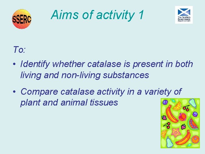 Aims of activity 1 To: • Identify whether catalase is present in both living Aims of activity 1 To: • Identify whether catalase is present in both living