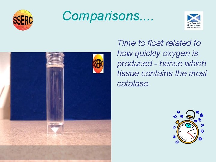 Comparisons. . Time to float related to how quickly oxygen is produced - hence Comparisons. . Time to float related to how quickly oxygen is produced - hence
