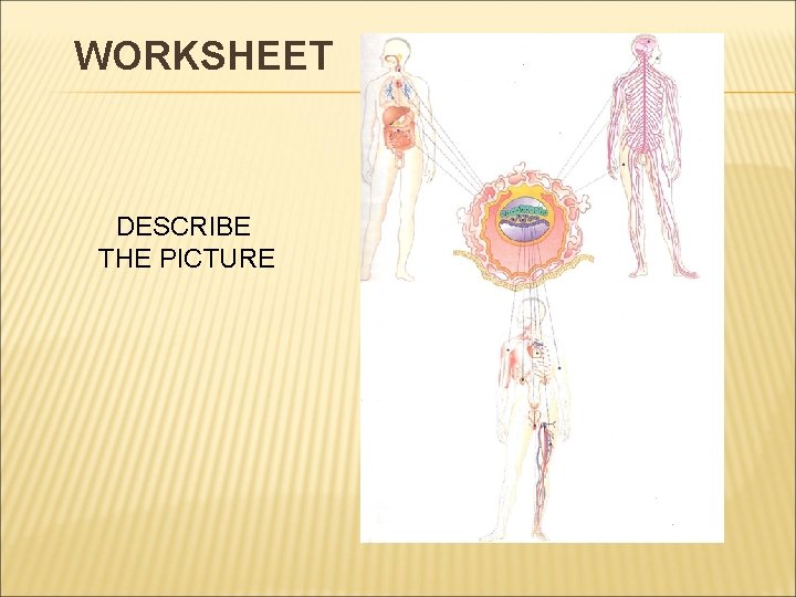 WORKSHEET DESCRIBE THE PICTURE 