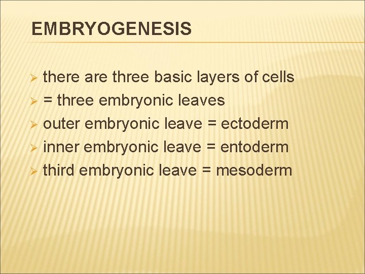 EMBRYOGENESIS there are three basic layers of cells Ø = three embryonic leaves Ø