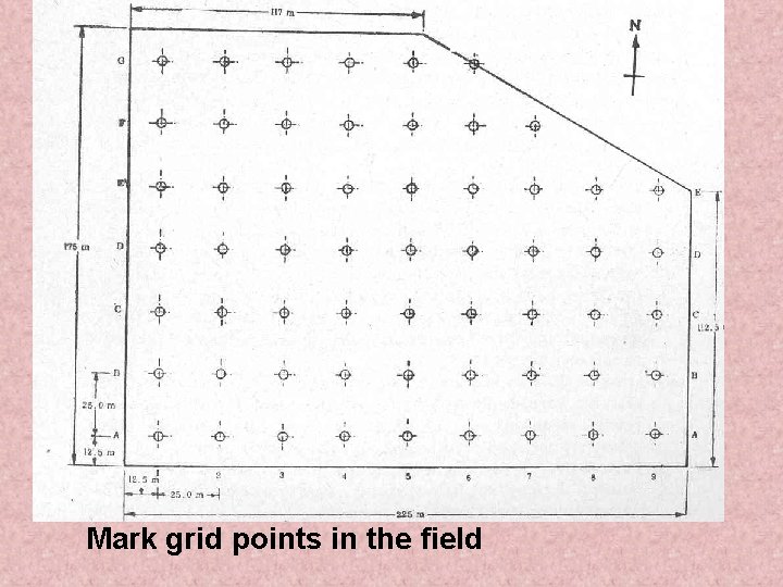 Mark grid points in the field 