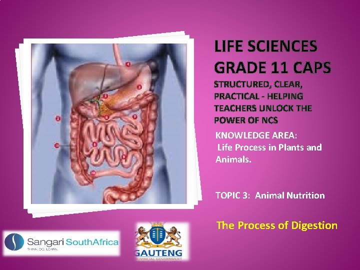 LIFE SCIENCES GRADE 11 CAPS STRUCTURED, CLEAR, PRACTICAL - HELPING TEACHERS UNLOCK THE POWER