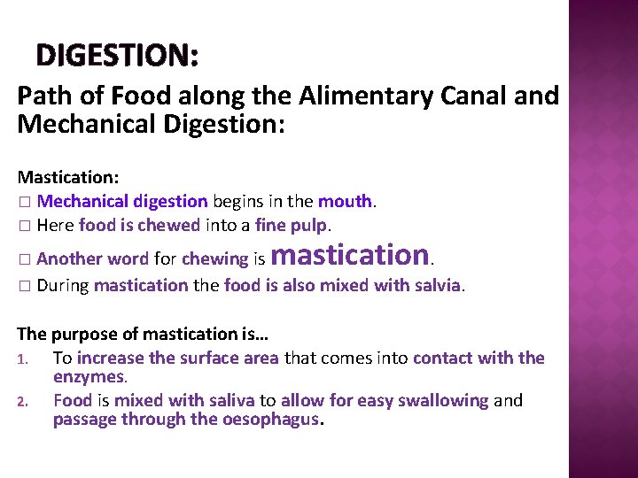 DIGESTION: Path of Food along the Alimentary Canal and Mechanical Digestion: Mastication: � Mechanical