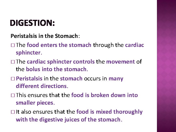 DIGESTION: Peristalsis in the Stomach: � The food enters the stomach through the cardiac