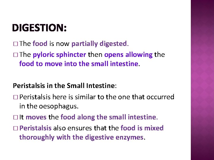 DIGESTION: � The food is now partially digested. � The pyloric sphincter then opens
