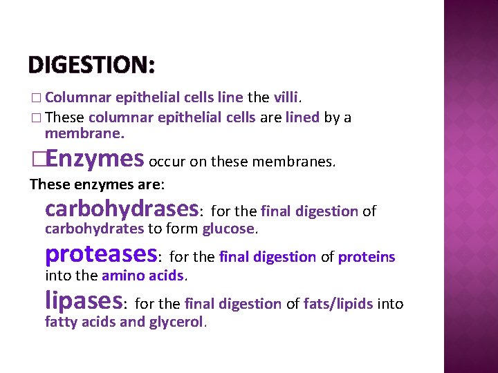 DIGESTION: � Columnar epithelial cells line the villi. � These columnar epithelial cells are