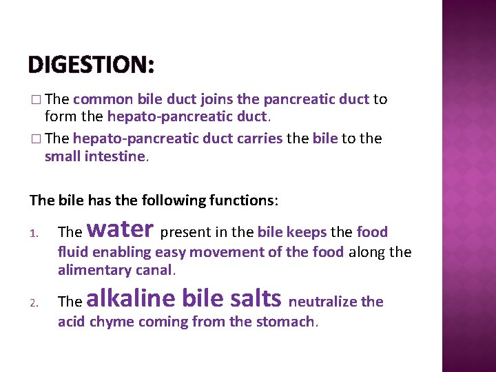 DIGESTION: � The common bile duct joins the pancreatic duct to form the hepato-pancreatic