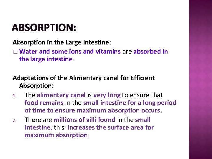 ABSORPTION: Absorption in the Large Intestine: � Water and some ions and vitamins are