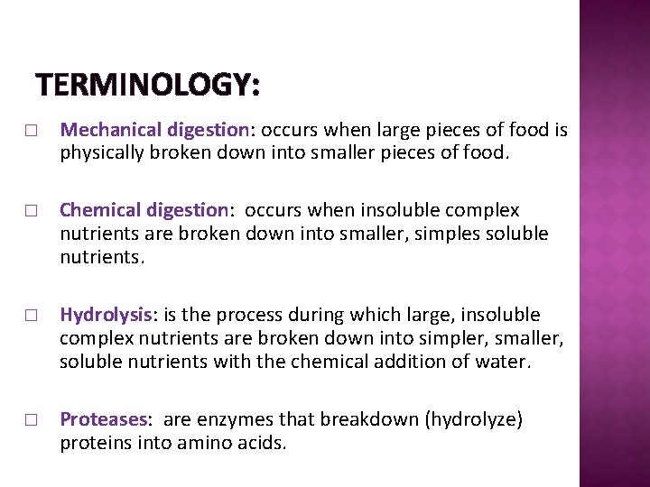TERMINOLOGY: � Mechanical digestion: occurs when large pieces of food is physically broken down