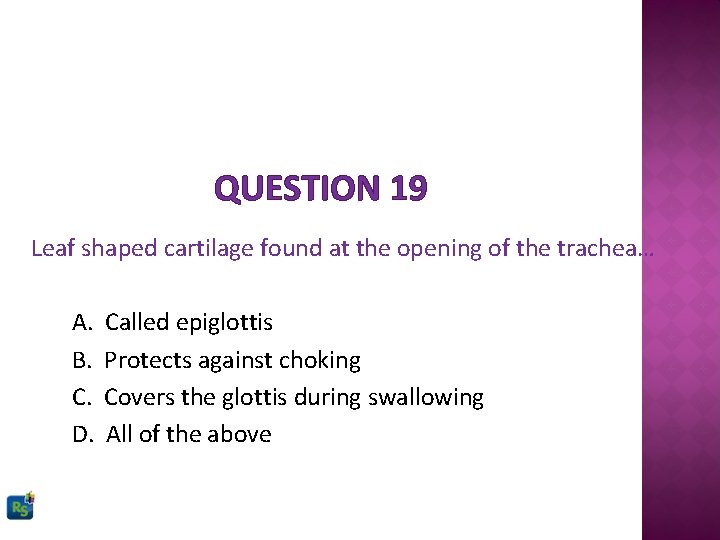QUESTION 19 Leaf shaped cartilage found at the opening of the trachea… A. B.
