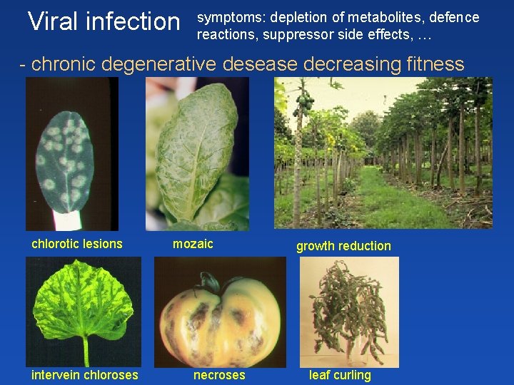 Viral infection symptoms: depletion of metabolites, defence reactions, suppressor side effects, … - chronic Viral infection symptoms: depletion of metabolites, defence reactions, suppressor side effects, … - chronic