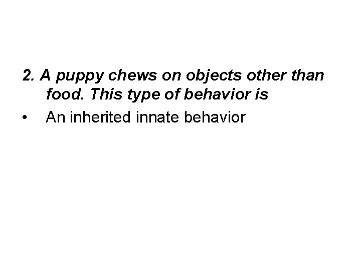 2. A puppy chews on objects other than food. This type of behavior is