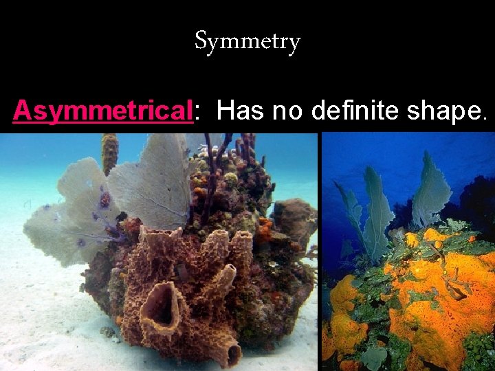 Symmetry Asymmetrical: Has no definite shape. 