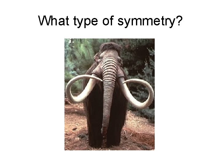 What type of symmetry? 