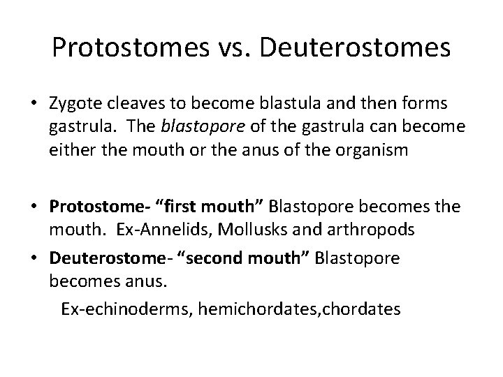 Protostomes vs. Deuterostomes • Zygote cleaves to become blastula and then forms gastrula. The