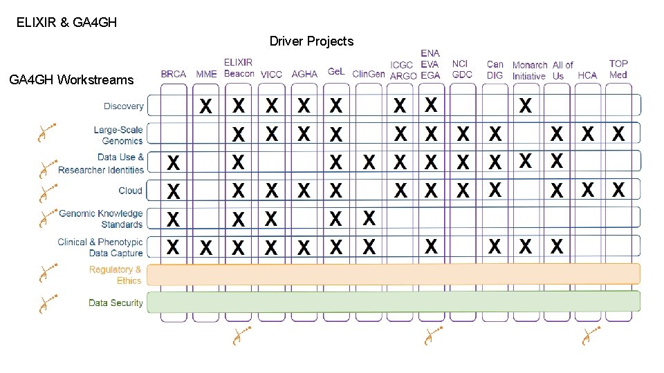 ELIXIR & GA 4 GH Driver Projects GA 4 GH Workstreams 