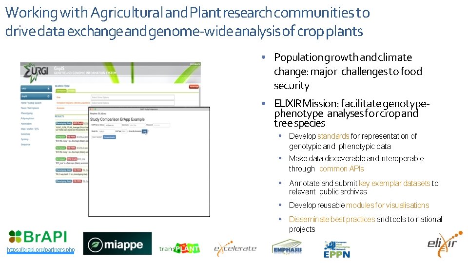 Working with Agricultural and Plant research communities to drive data exchange and genome-wide analysis