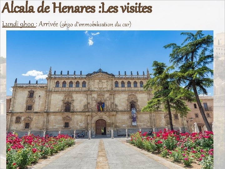 Alcala de Henares : Les visites Lundi 9 h 00 : Arrivée (9 h