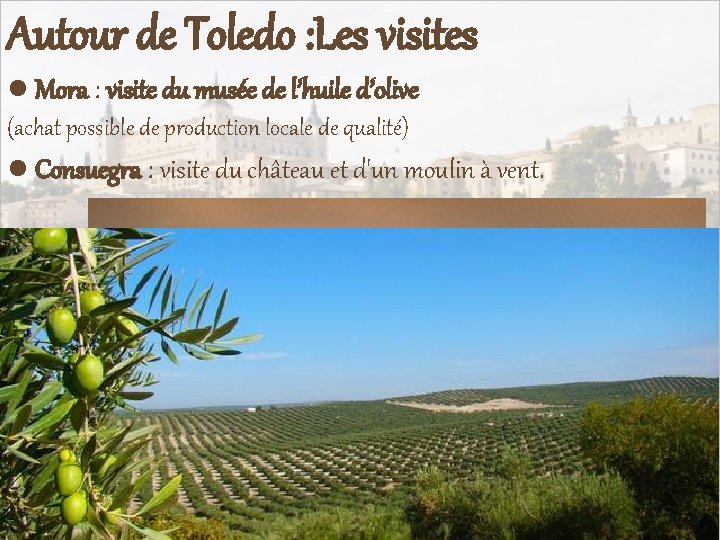 Autour de Toledo : Les visites ● Mora : visite du musée de l’huile