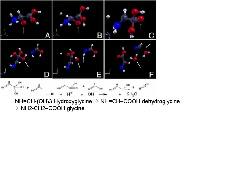  NH=CH-(OH)3 Hydroxyglycine NH=CH–COOH dehydroglycine NH 2 -CH 2–COOH glycine 