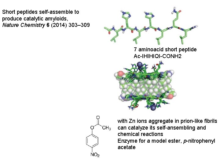 Short peptides self-assemble to produce catalytic amyloids, Nature Chemistry 6 (2014) 303– 309 7