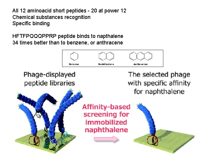 All 12 aminoacid short peptides - 20 at power 12 Chemical substances recognition Specific