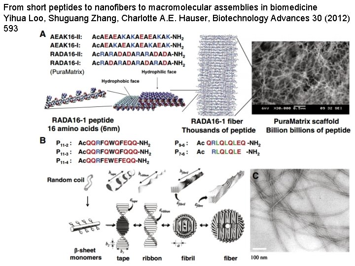 From short peptides to nanofibers to macromolecular assemblies in biomedicine Yihua Loo, Shuguang Zhang,