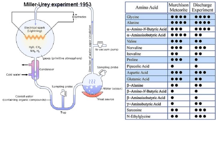 Miller-Urey experiment 1953 