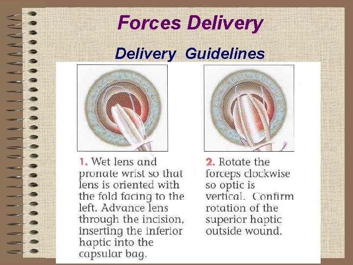 Forces Delivery Guidelines 