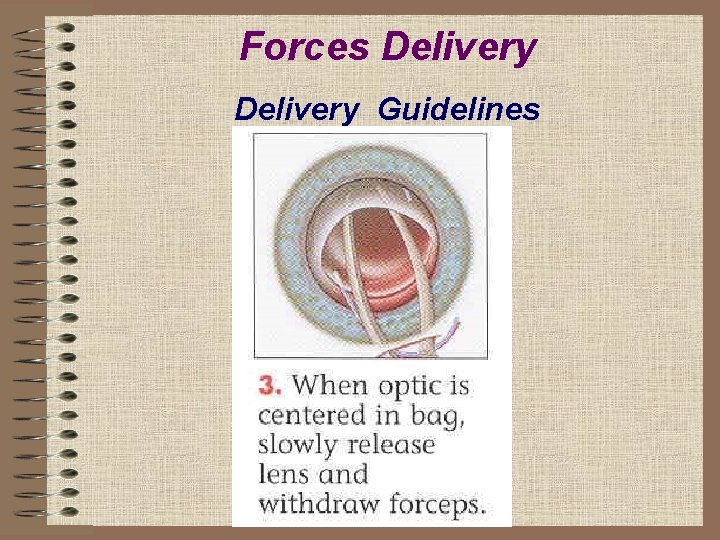 Forces Delivery Guidelines 