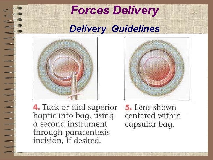 Forces Delivery Guidelines 