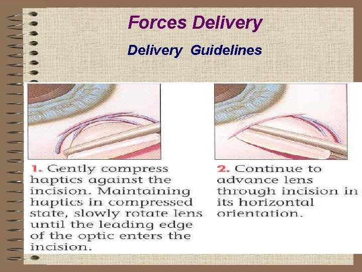 Forces Delivery Guidelines 