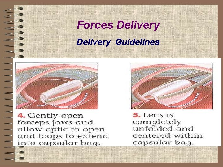 Forces Delivery Guidelines 