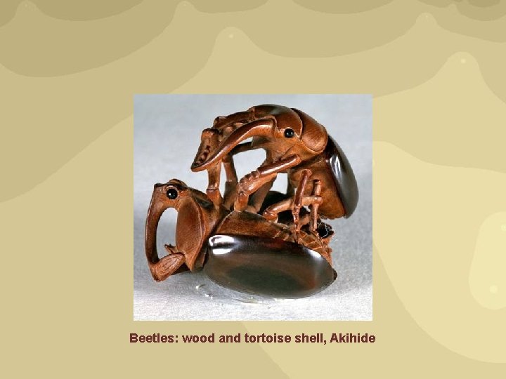 Beetles: wood and tortoise shell, Akihide 